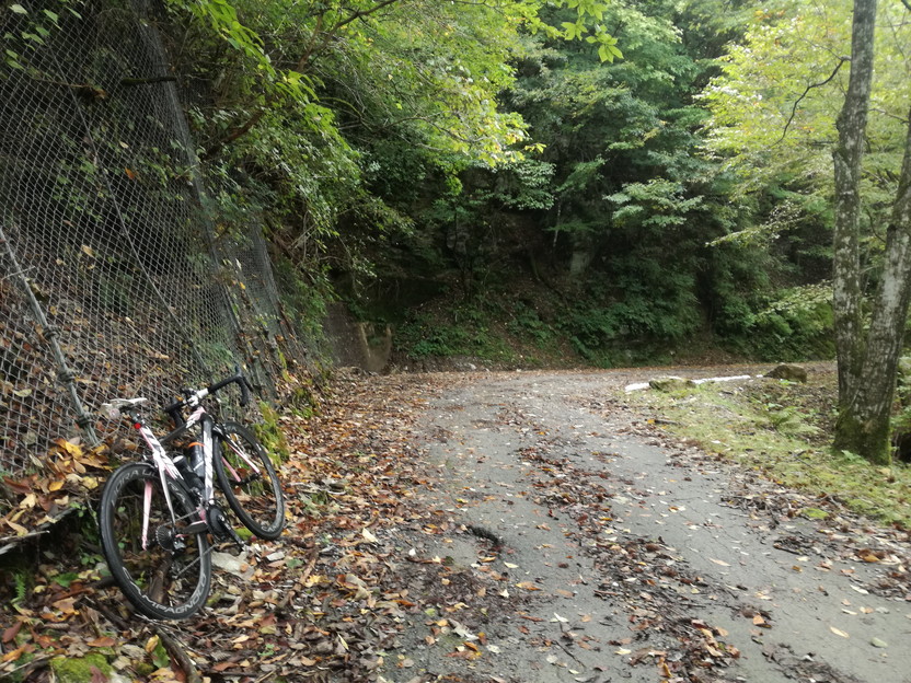 218 高見峠でヒルクライム！旧国道を三重県側から登ってみた！