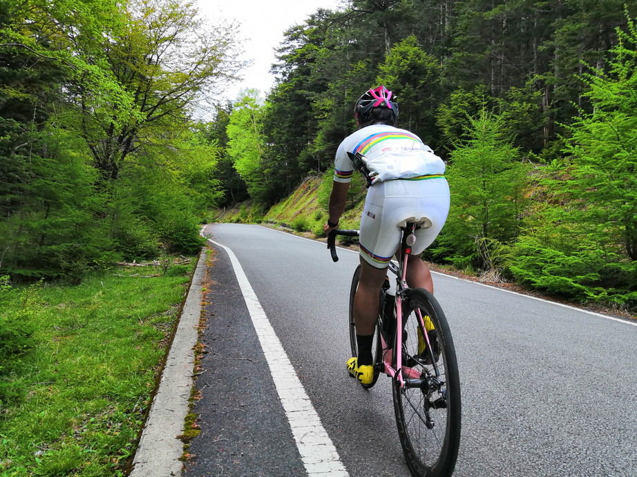 ヒルクライム 自転車